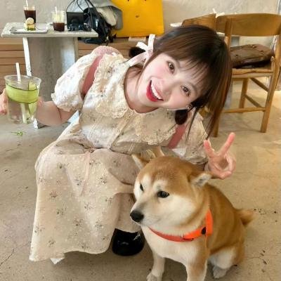 被嫌弃的松子的一生